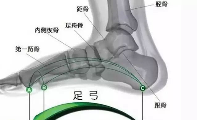 病例分享 Chopart 和lisfranc 损伤 中足骨折与脱位1例骨四科 沧州市人民医院
