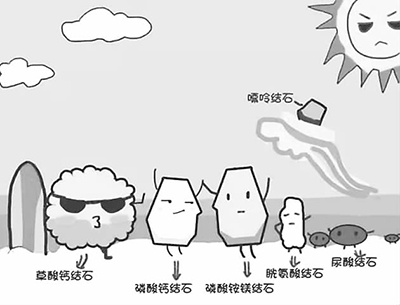 沧州18年1·2月-20.jpg