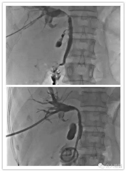 图片12.jpg 图片12.jpg